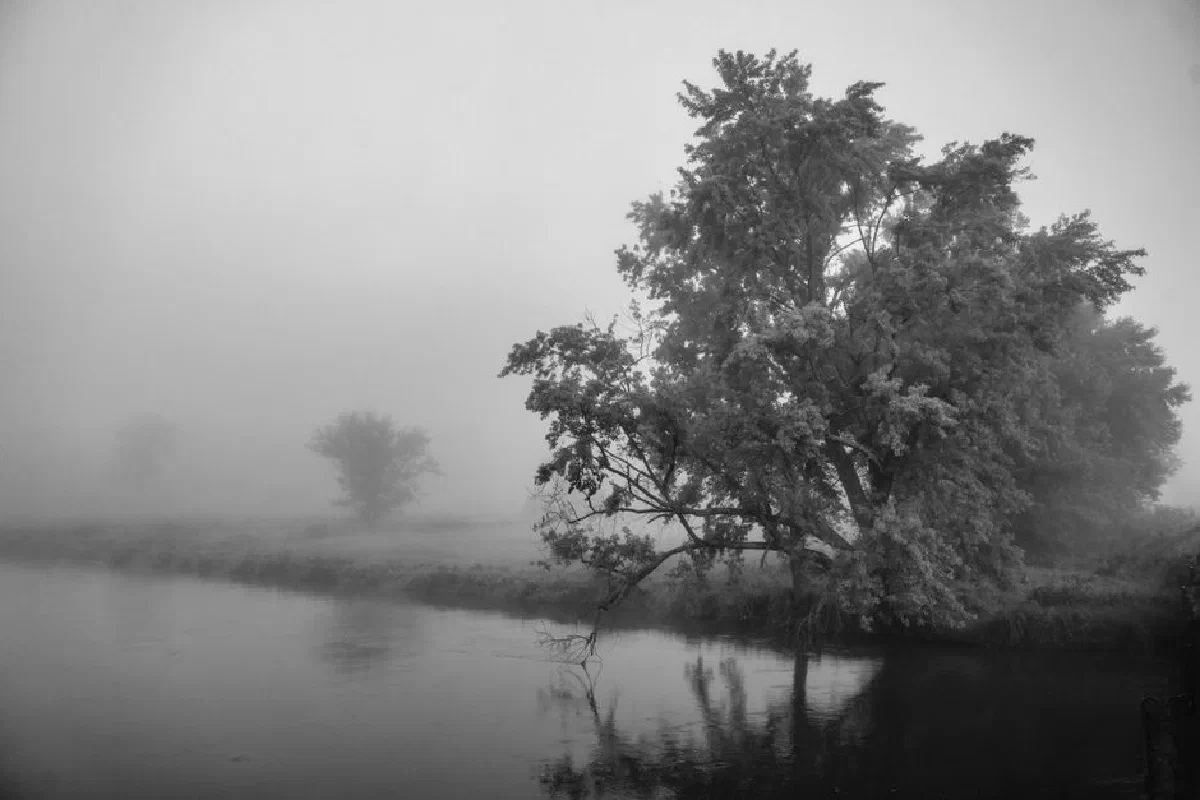 Serene black and white image of a misty riverbank scene in Tell, Wisconsin, USA.