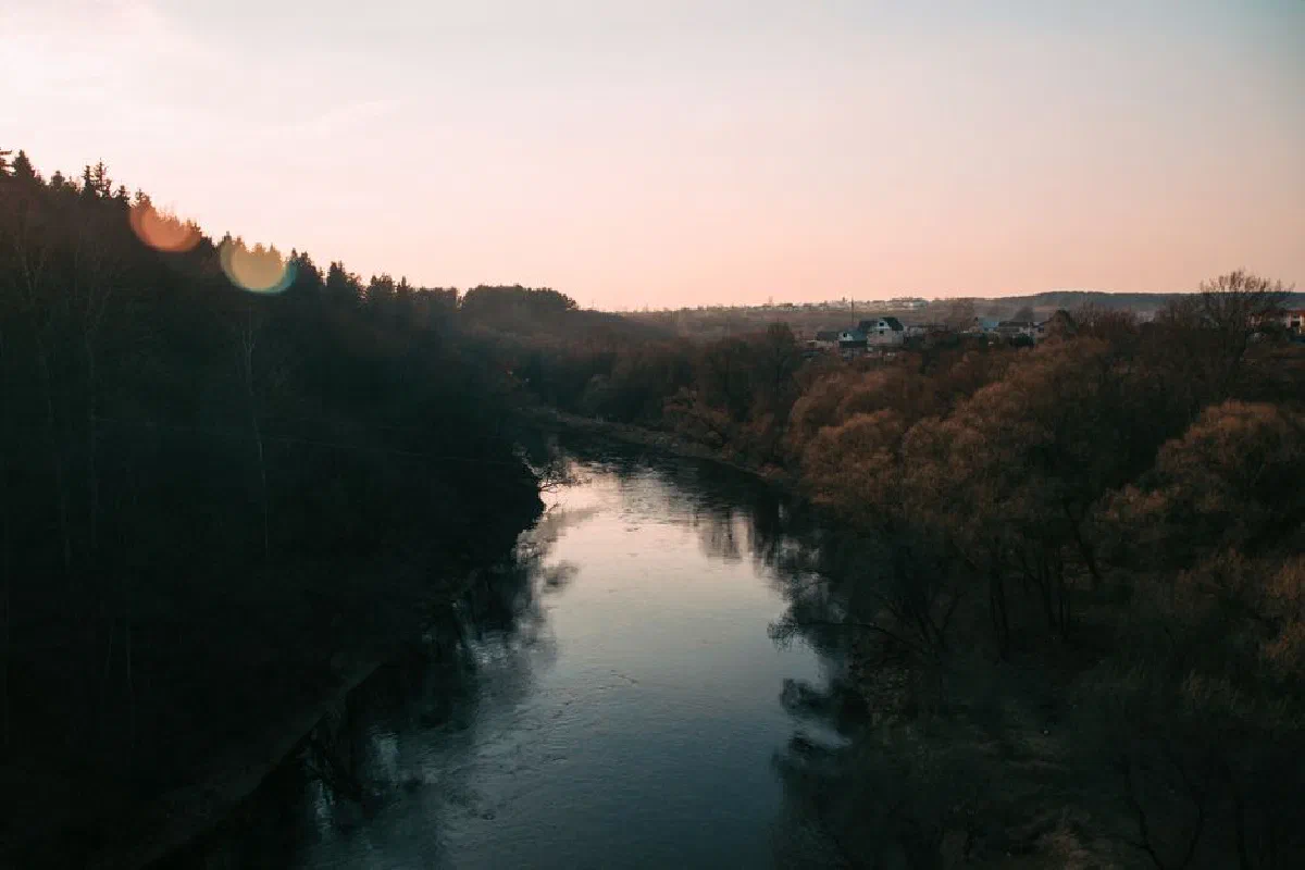 Serene river flowing through a forest at twilight, showcasing nature's beauty.