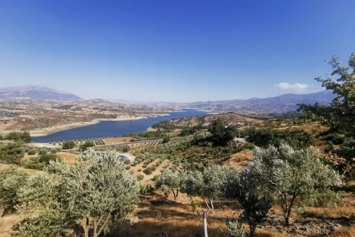 A beautiful panorama featuring river, mountains, and olive groves under a clear blue sky.