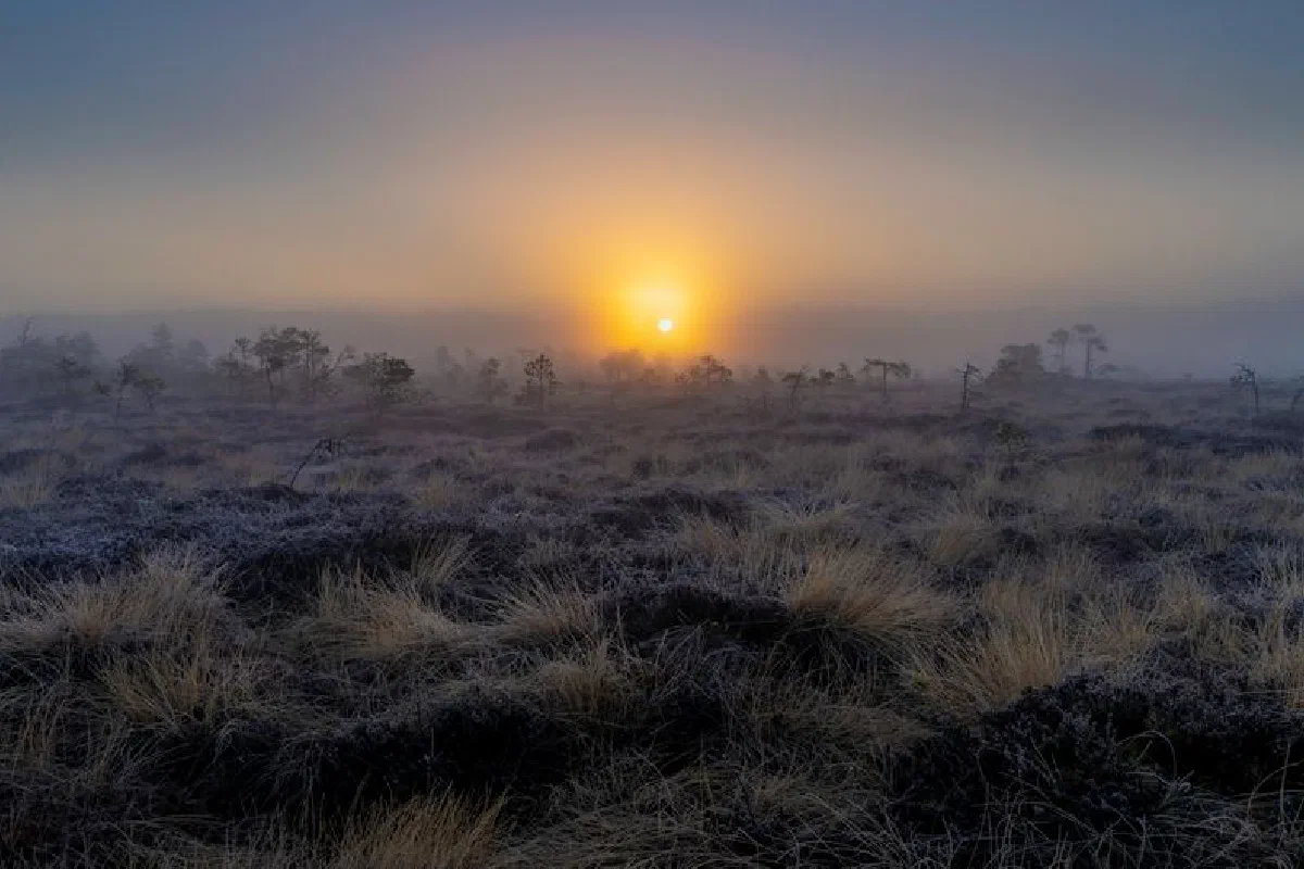 Serene sunrise over a frost-covered moorland with misty atmosphere and grassy foreground in twilight.