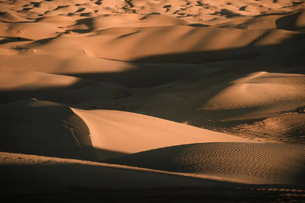 Dramatic golden sand dunes in Brawley, CA, illuminated by the warm sunset glow.