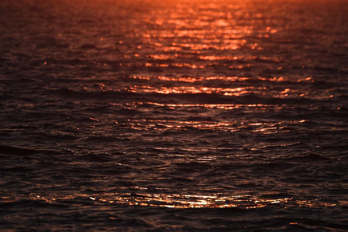 Golden sunset reflecting on the ocean waves, creating a serene and tranquil scene.