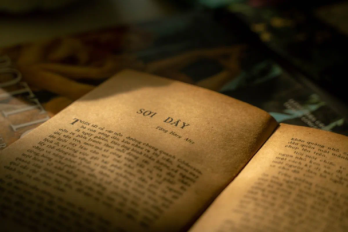 Close-up of an old Vietnamese book open on a page, lit by sunlight.