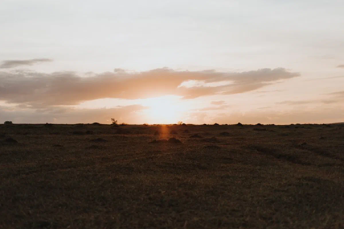 Beautiful sunset over an expansive grassland field, capturing a serene and natural ambiance.