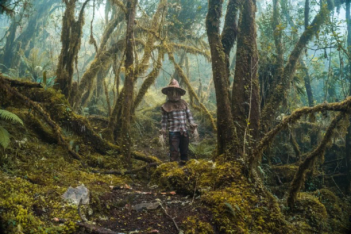 A mysterious figure in a witch hat stands amidst a lush, mossy Colombian forest.