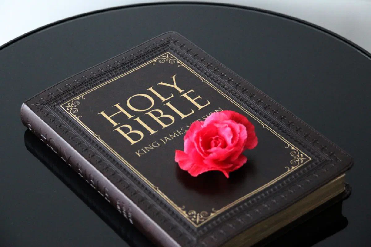 King James Bible with a pink flower on top, symbolizing faith and beauty.