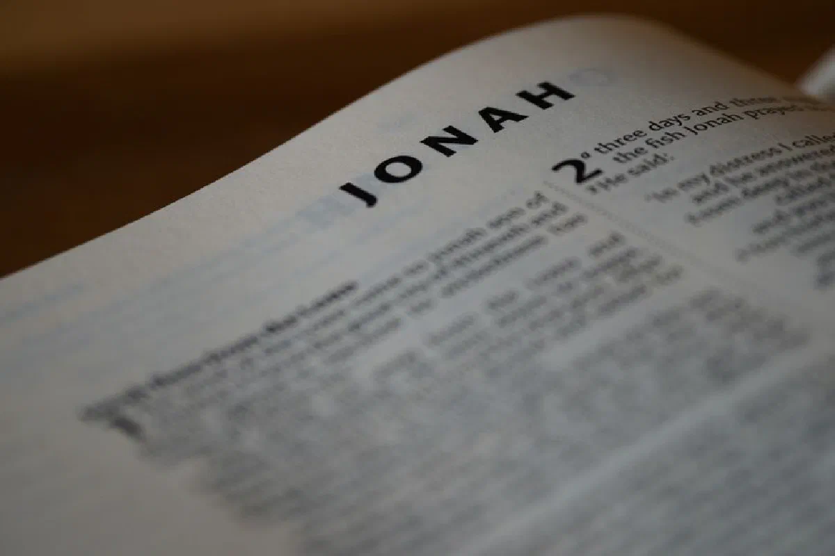 Macro photograph of the Book of Jonah page in a Bible, highlighting text and typography.