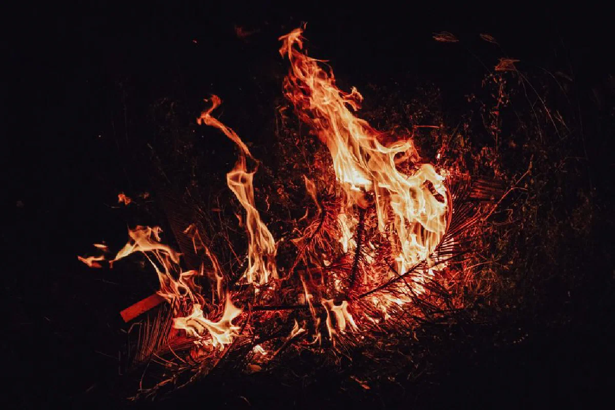 Bright fire blazing on dry twigs at dark night in forest in nature