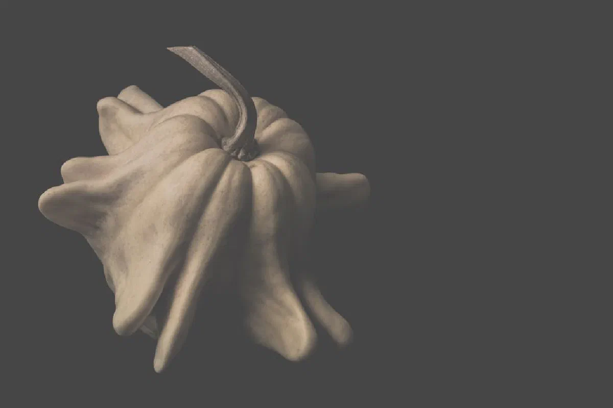 A minimalist photograph of a uniquely shaped pumpkin against a dark background.