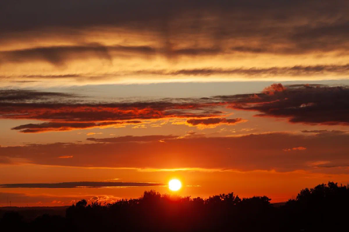 A stunning sunset with vivid orange and red hues over a silhouetted forest, creating a dramatic twilight scene.
