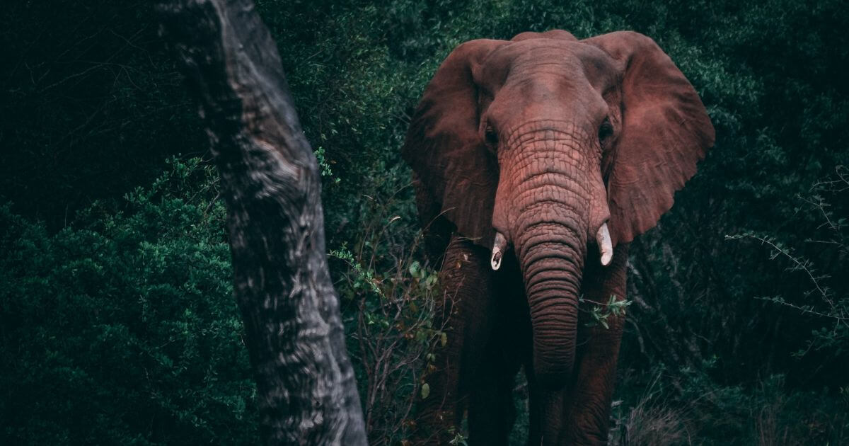 What did God create on the sixth day of Creation?