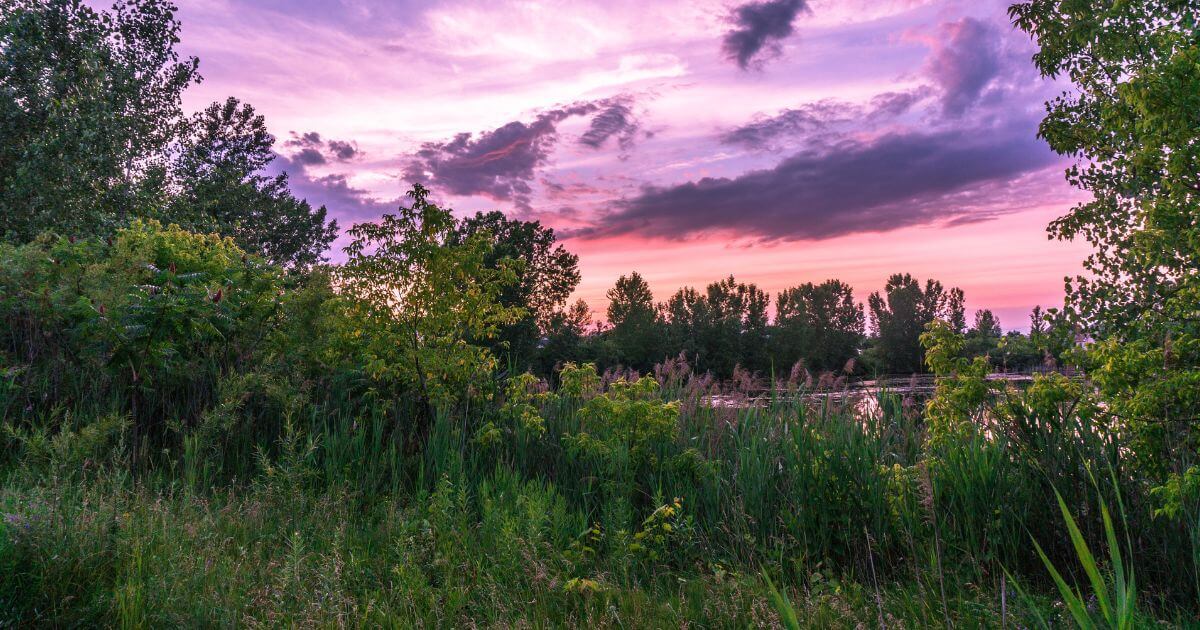 What did God create on the Third day of Creation?