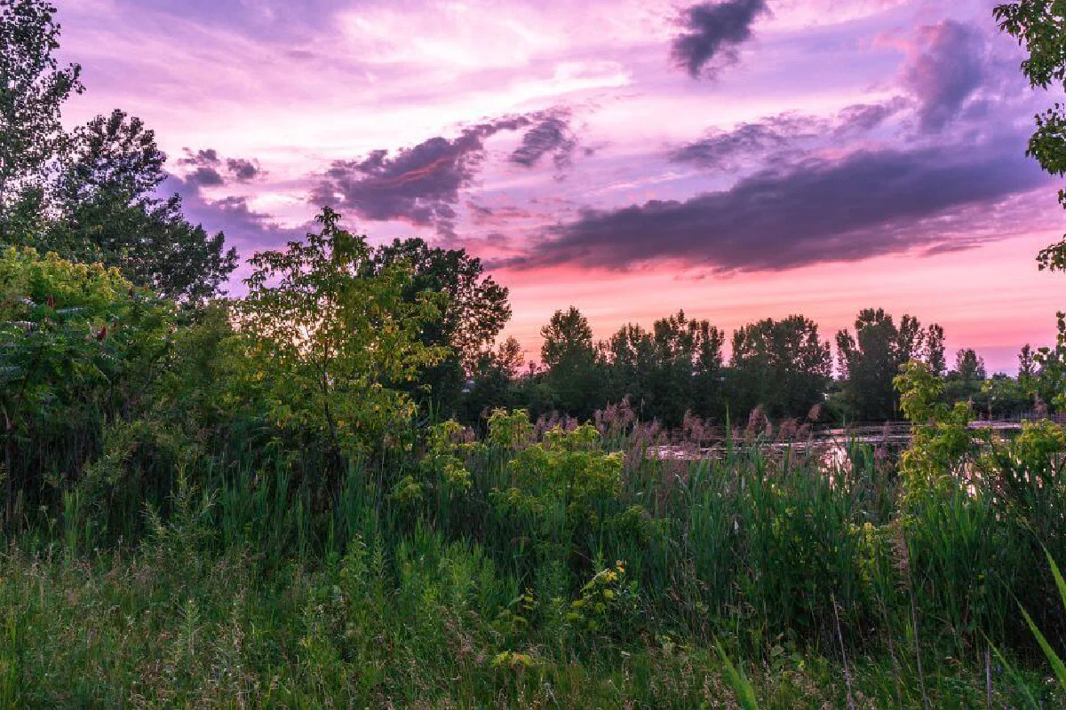 What did God create on the Third day of Creation?