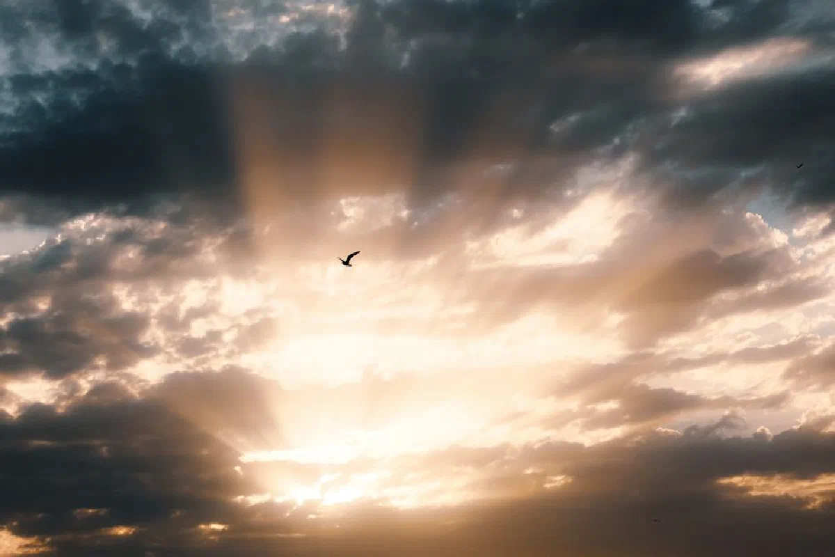 A stunning sunset with dramatic clouds and a solitary bird in Trouville Alliquerville, Normandie, France.