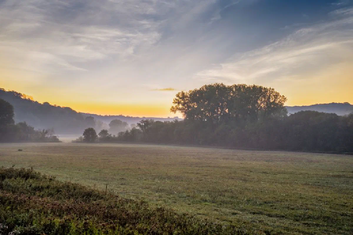A tranquil rural scene with mist over fields and trees at dawn in West Albany, MN.