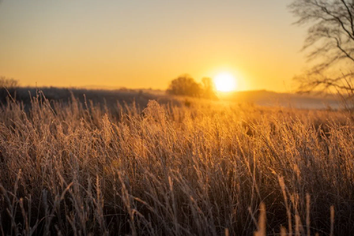 Sunrise over a frosty field in rural West Newton, MN, creating a warm glow.