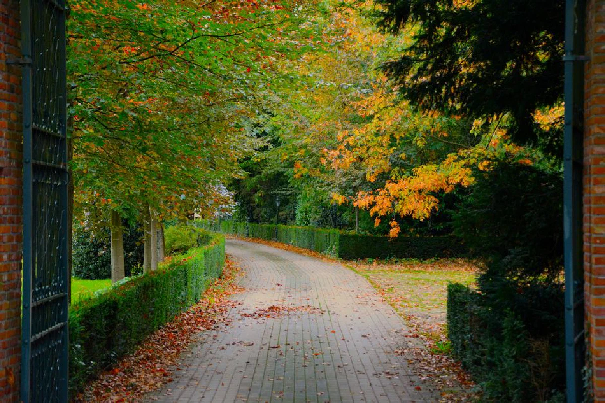 Serene autumn scene of a driveway lined with colorful foliage and old gate.