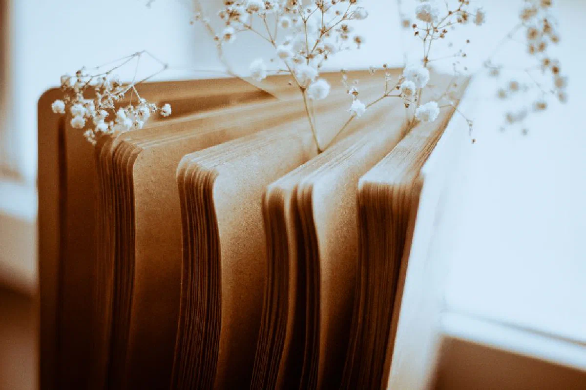 Close-up of book pages adorned with baby's breath flowers, set in a soft, warm tone.