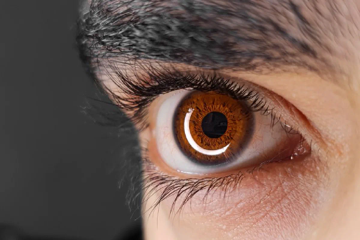 Detailed close-up image of a human brown eye with emphasis on the iris and eyelashes.