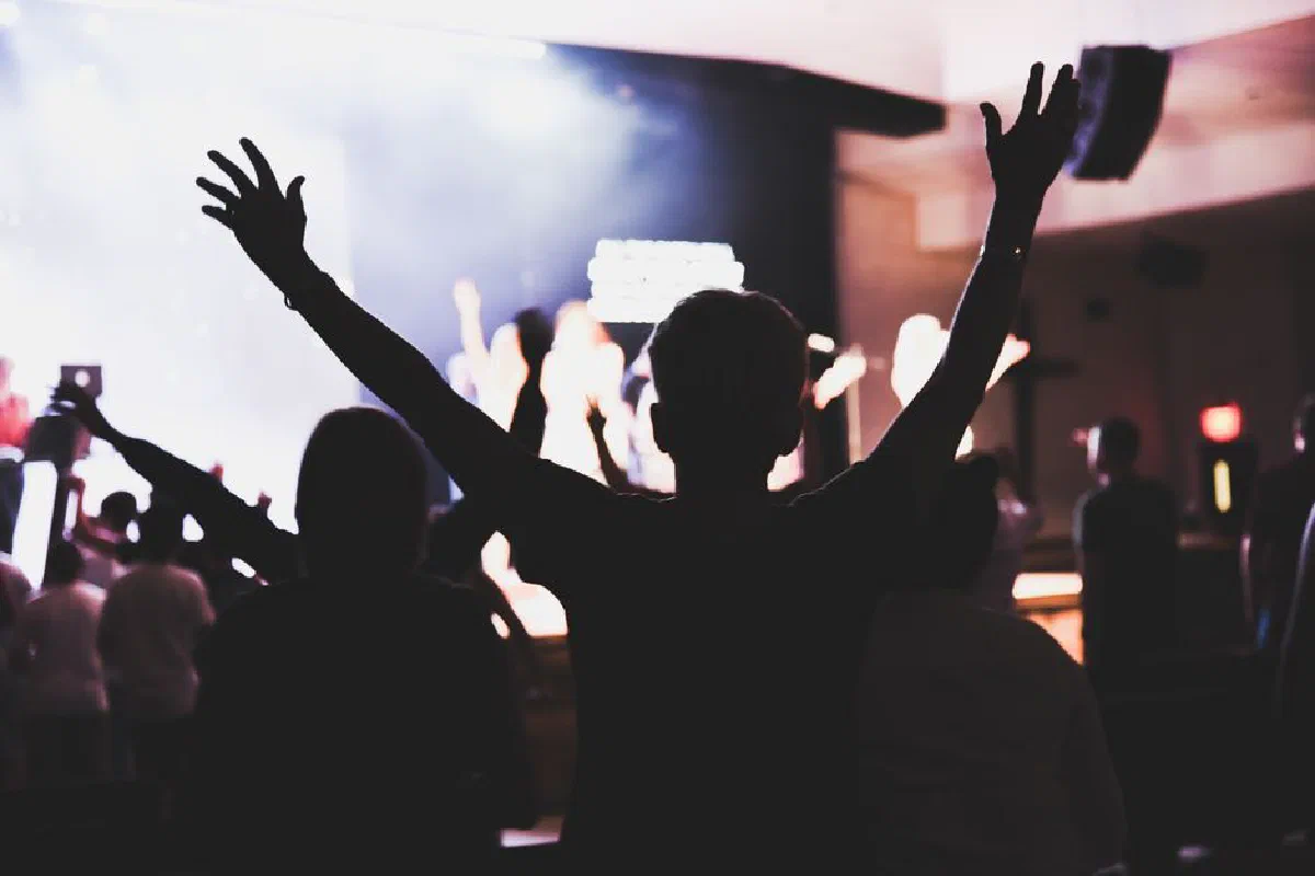 Silhouetted crowd enjoying a live concert with raised hands and vibrant lighting. Perfect for music event promotions.