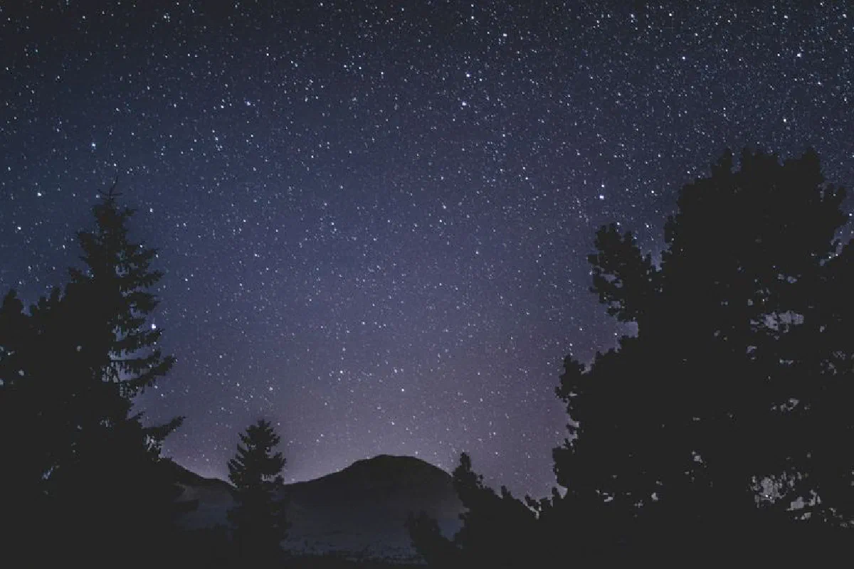 Beautiful clear night sky with countless stars above silhouetted trees and mountains.