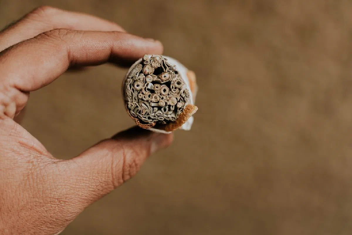 Detailed view of a hand holding a rolled herbal cigarette with a textured background.