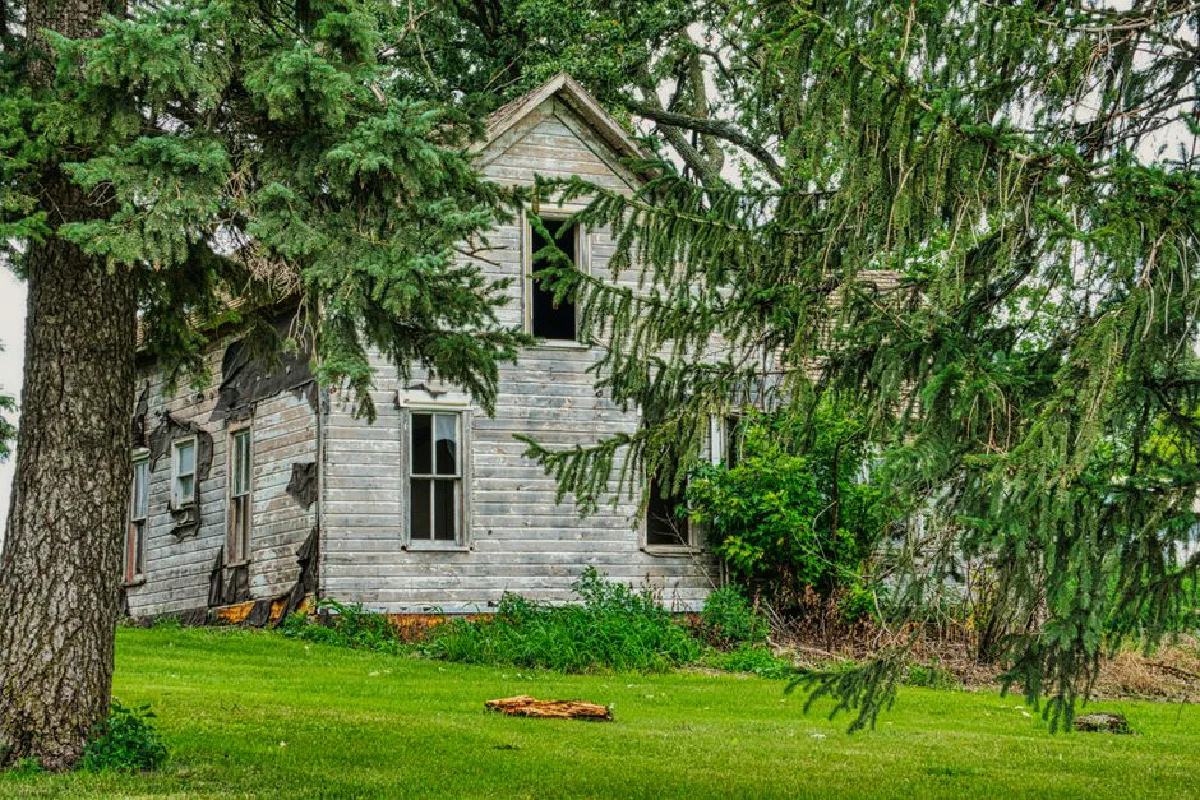 Eerie scene of an abandoned wooden house surrounded by lush greenery and trees.