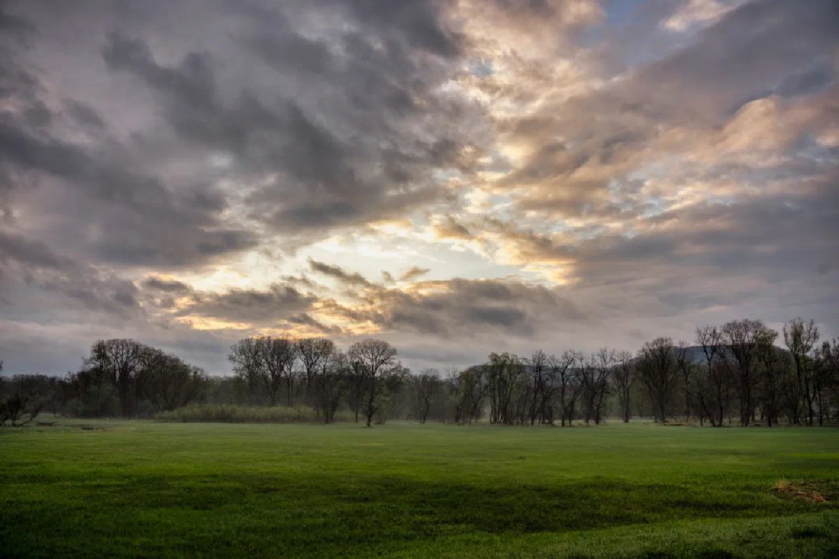 Dramatic cloudy landscape with trees and green field in Weaver, MN at dusk.