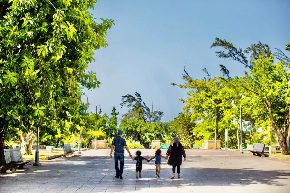Family walking hand in hand through a sunlit park filled with vibrant greenery.