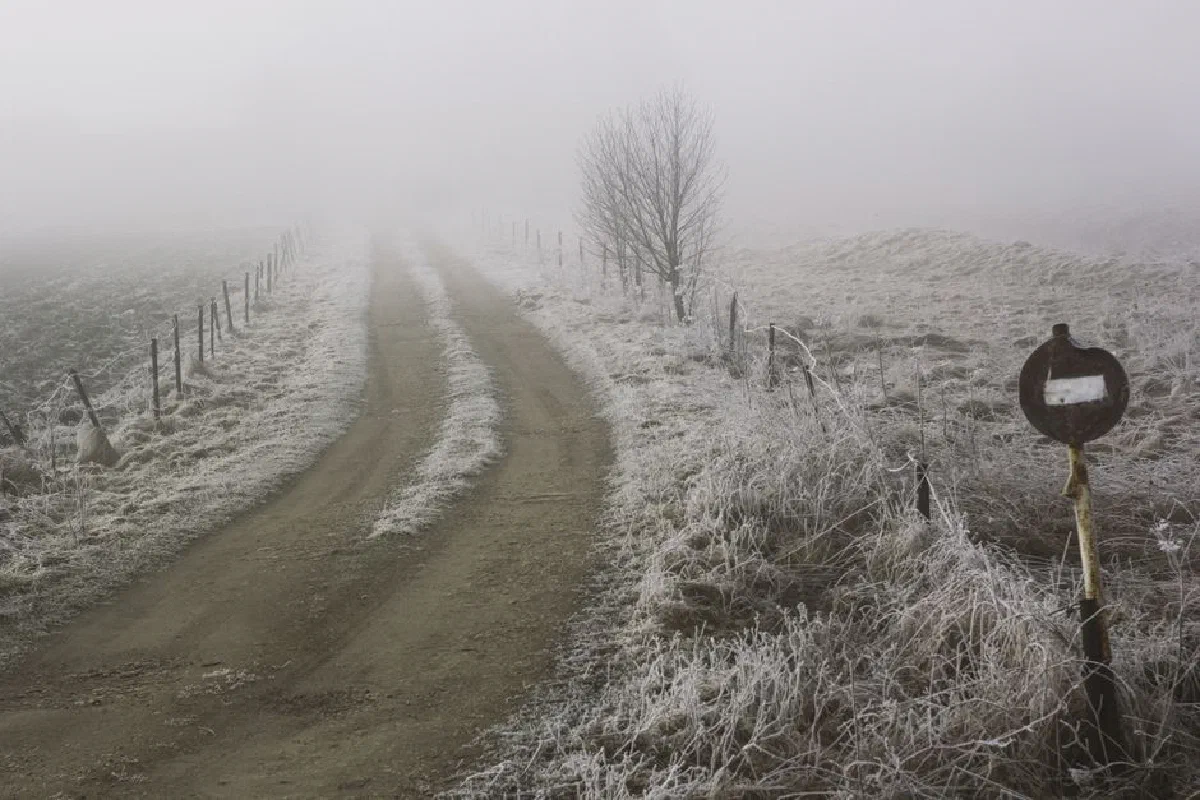 Foggy dirt road through frosty field and trees in a serene winter scene.
