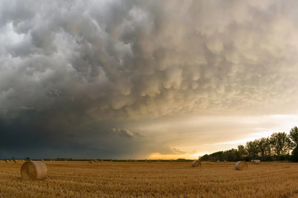 Storm clouds over hay bales in a rural field at sunset.