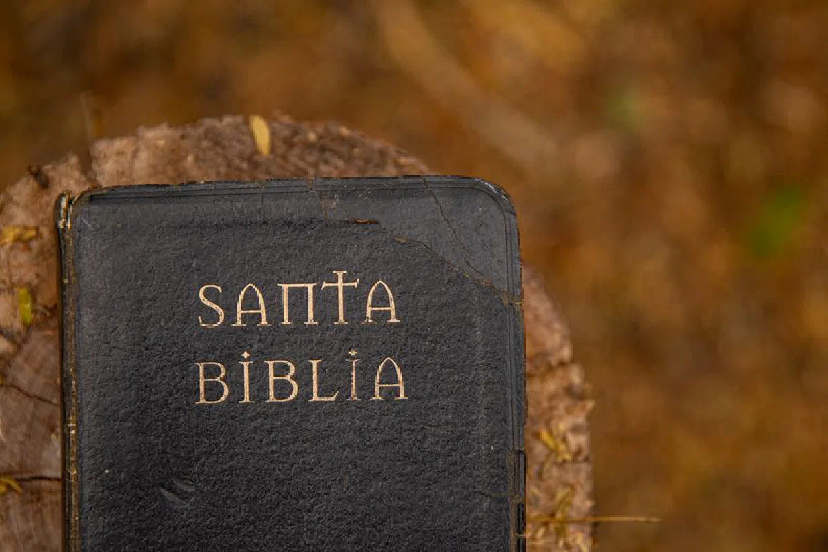 A close-up of a Santa Biblia resting on a tree stump, surrounded by autumn leaves.