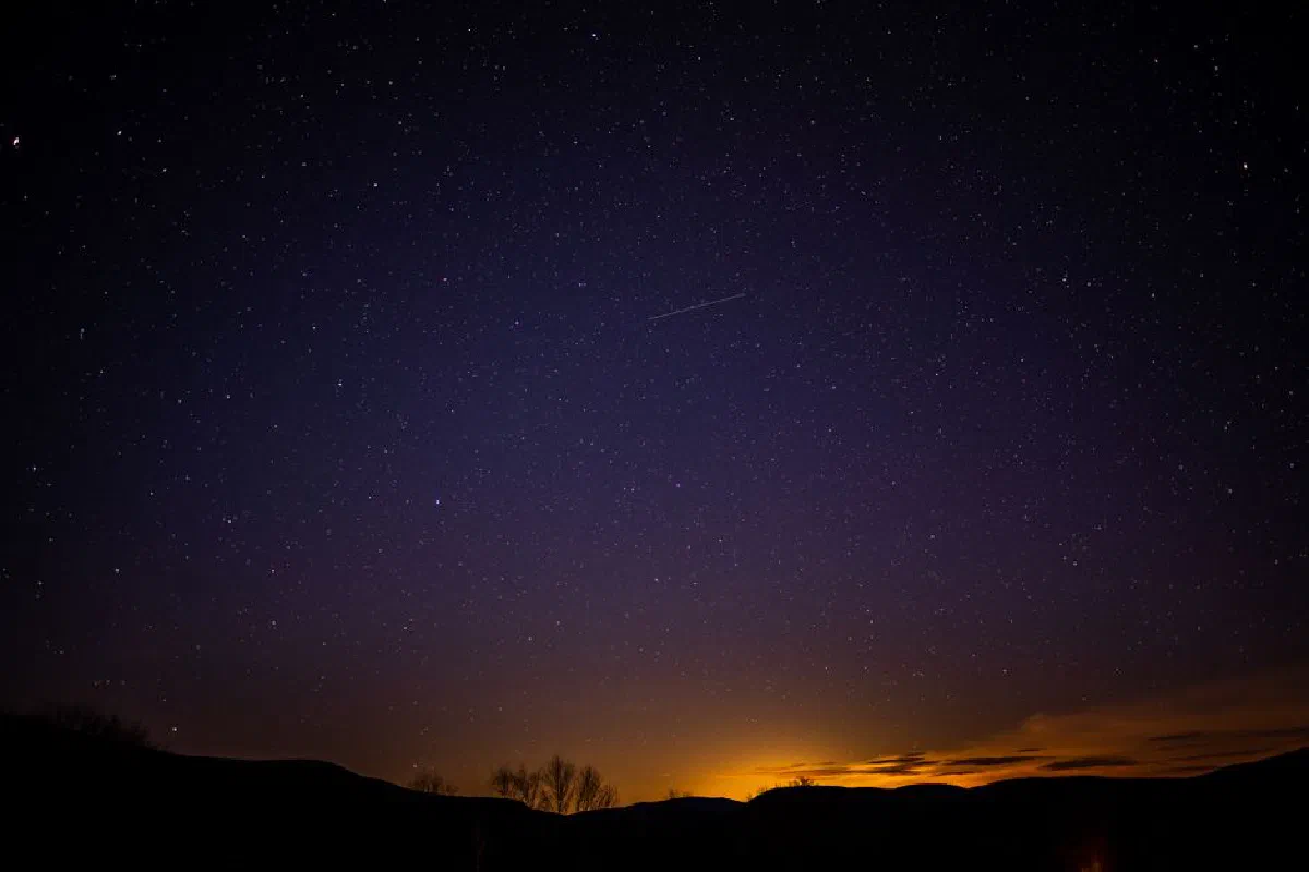 Amazing scenery of silhouettes of trees and hills against picturesque starry sky in evening