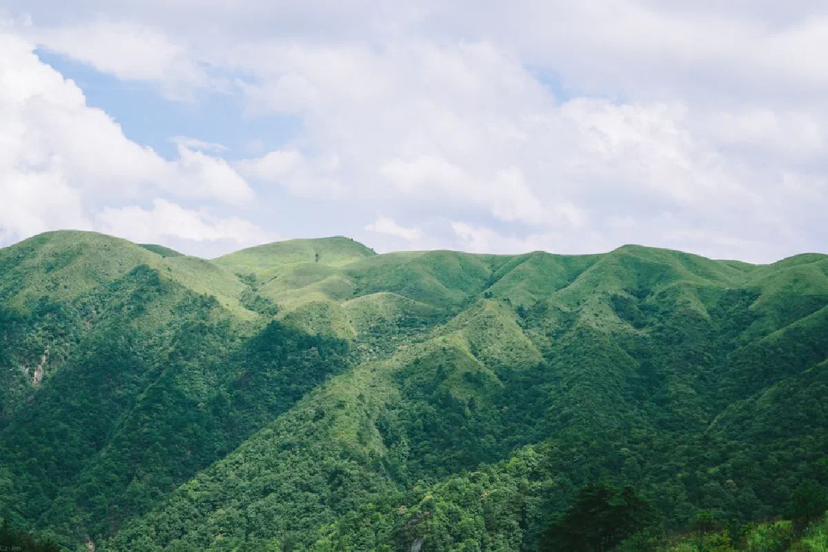 Breathtaking view of lush green mountains with clear blue sky above, a peaceful and picturesque landscape.