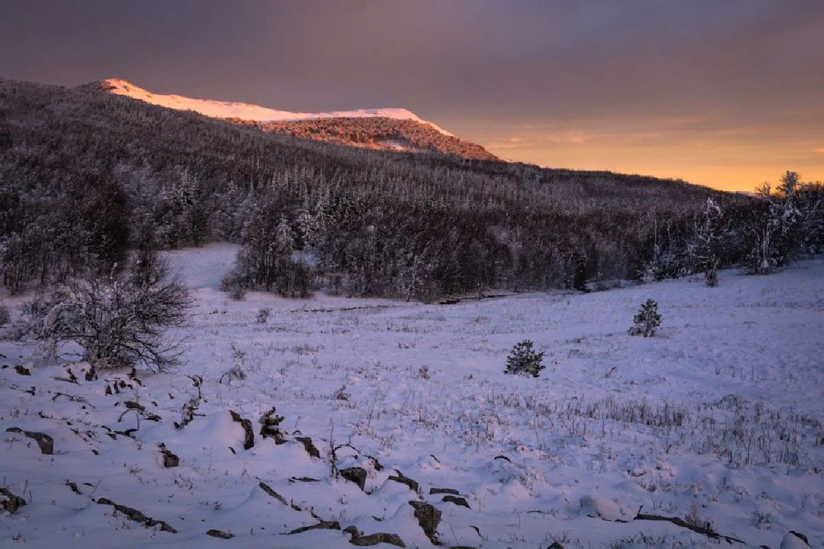 Serene winter scene with snow-covered mountains and trees at sunrise.
