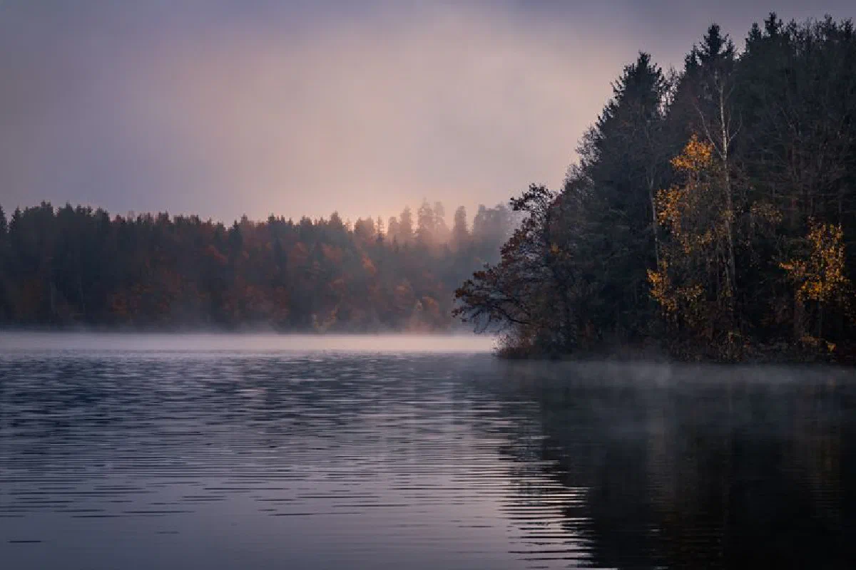 Serene misty lake surrounded by a dense forest under twilight skies, creating a tranquil autumn scenery.