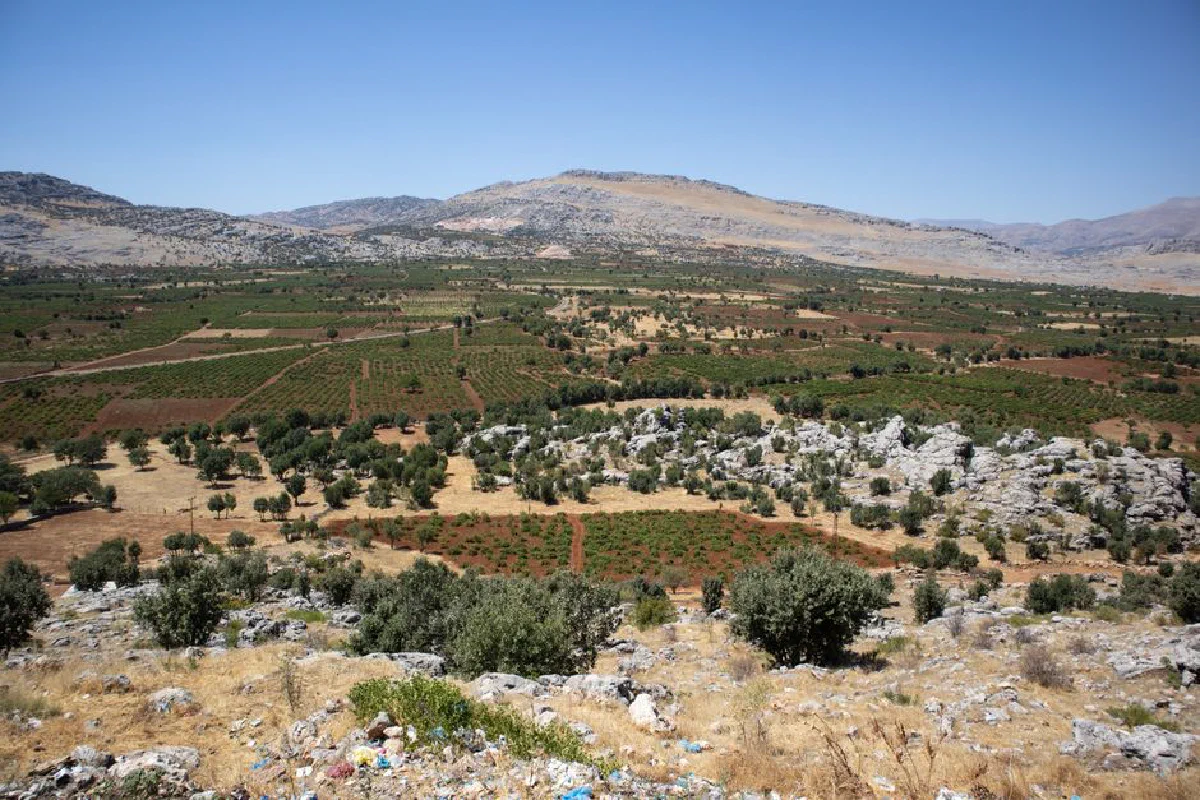 Explore the picturesque and arid landscapes of Çermik, Türkiye, showcasing hills, olive trees, and rocky terrain under a clear summer sky.