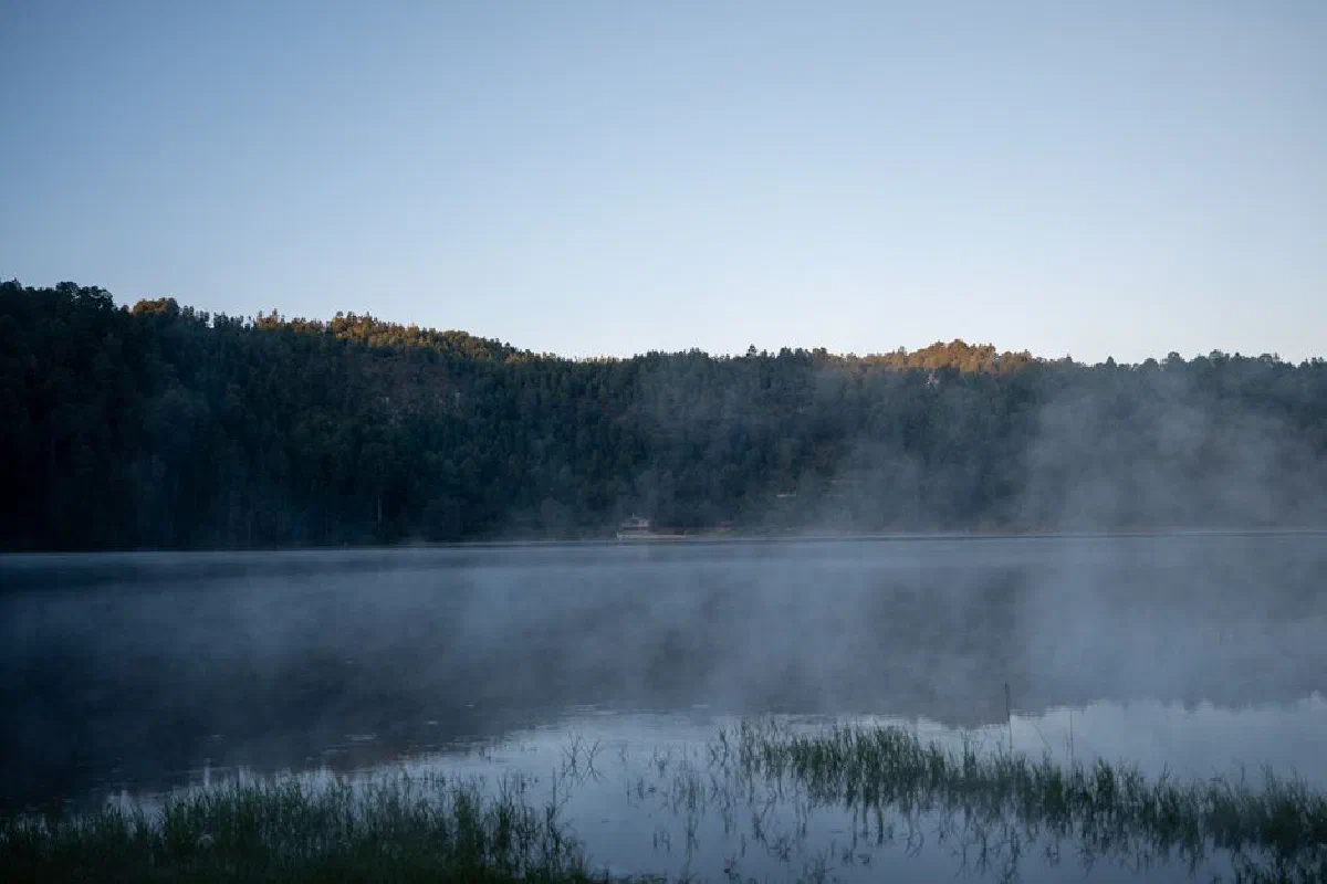 Misty lake view in Los Azufres, Michoacán, Mexico with a serene forest backdrop.