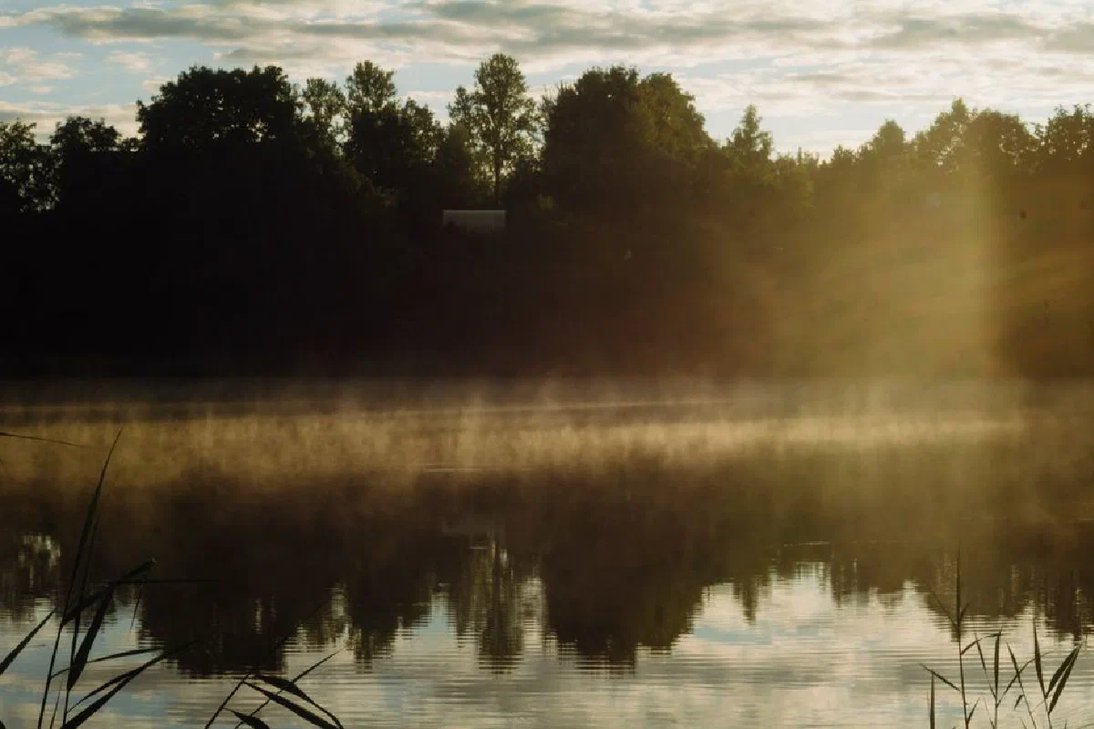 Serene morning mist over a tranquil lake with soft sunlight filtering through trees.