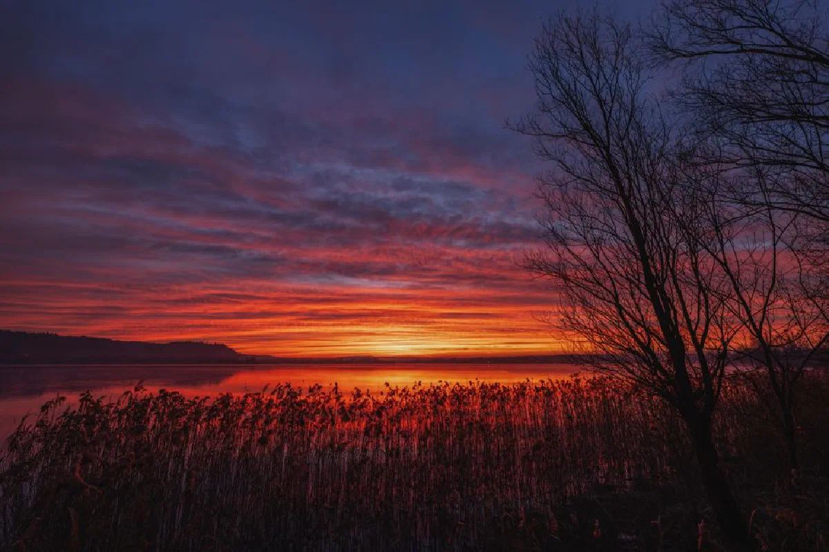 Dramatic sunset over a peaceful lake with vivid red and purple skies, captured during fall.