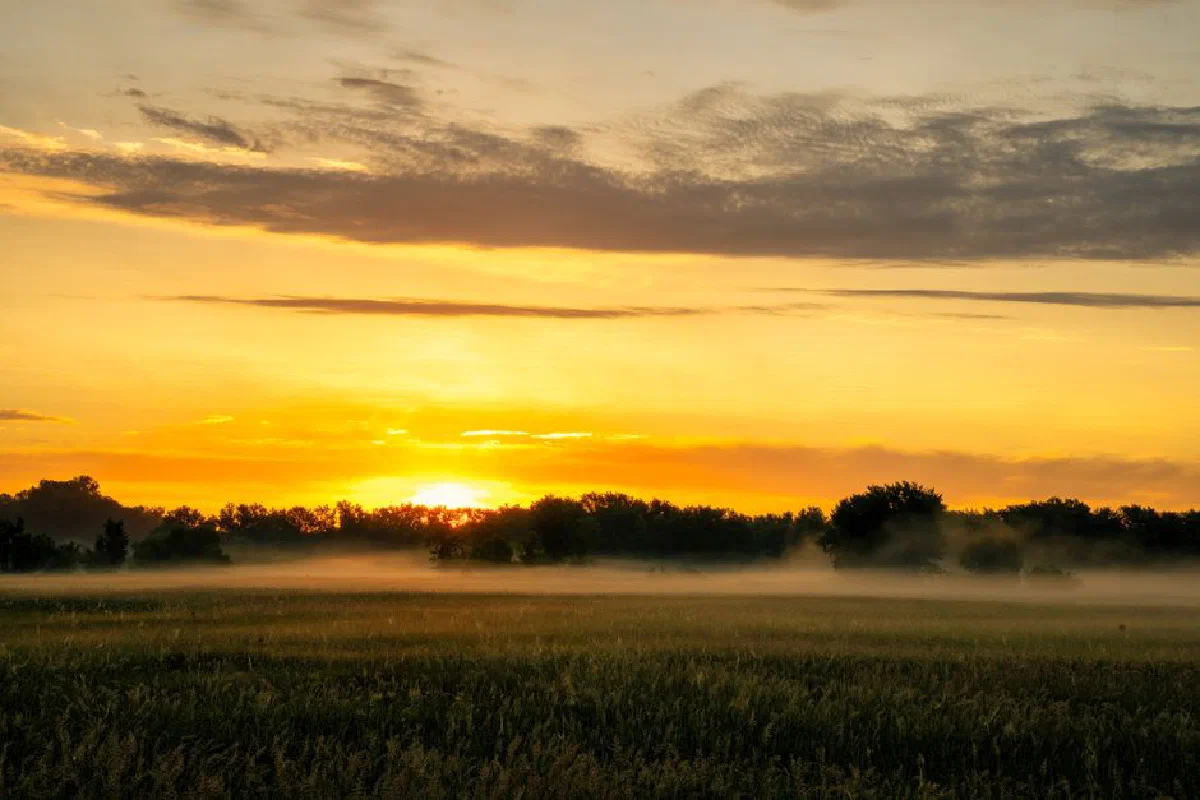 A serene sunrise paints a gold hue over misty fields in Modena, Wisconsin, showcasing rural tranquility.