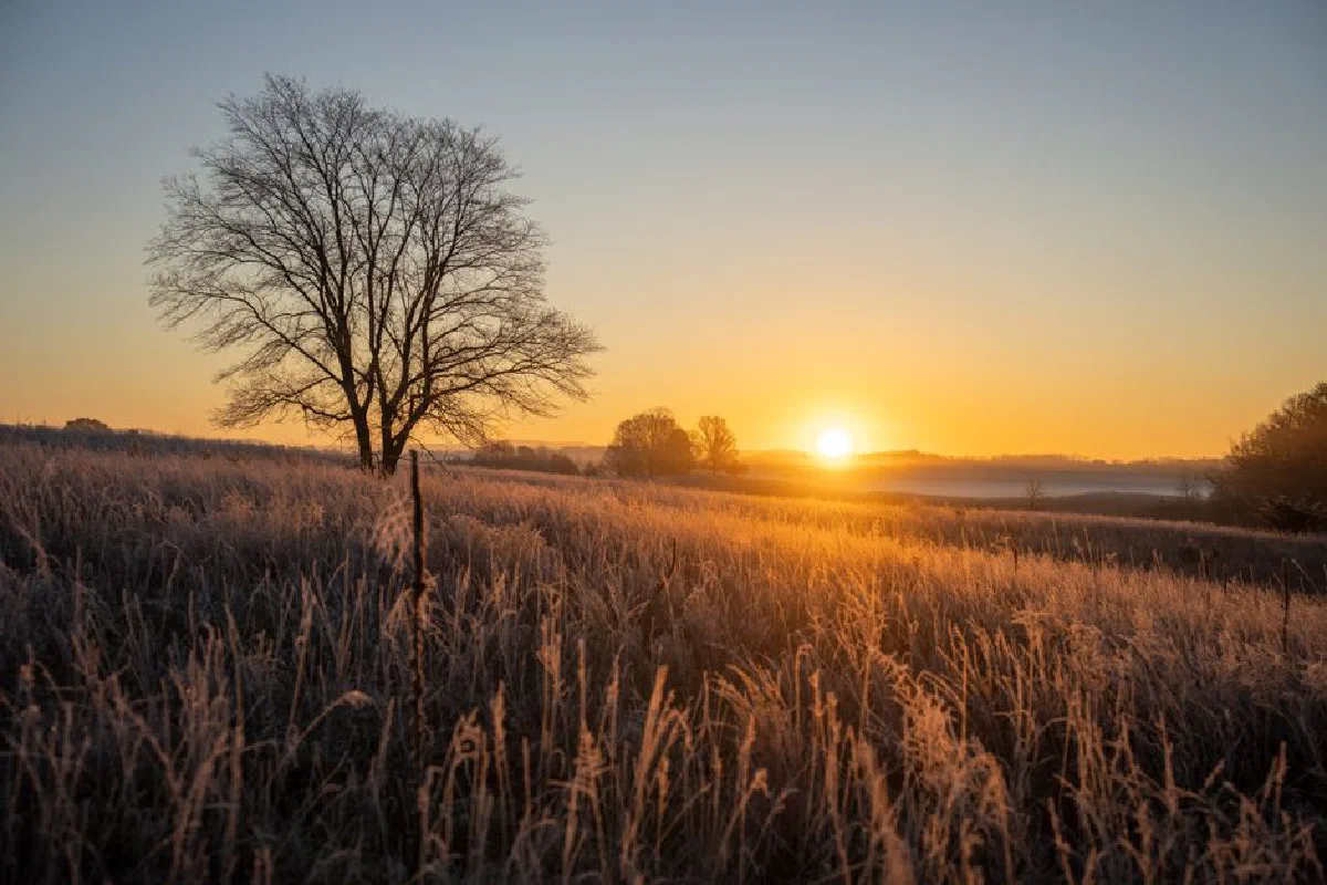 A breathtaking winter sunset over a frosty field in West Newton, Minnesota, highlighting the serene rural landscape.