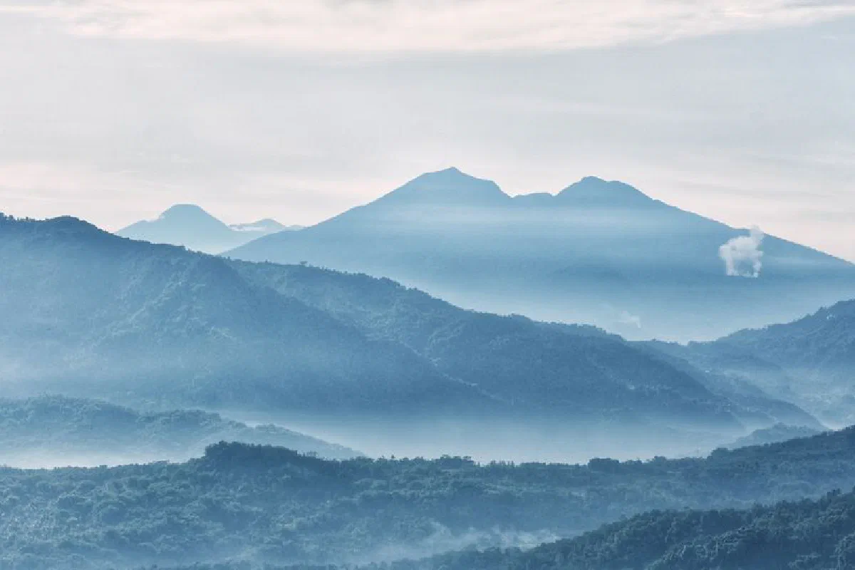 Peaceful mountain landscape with mist and lush greenery. Ideal for nature themes.