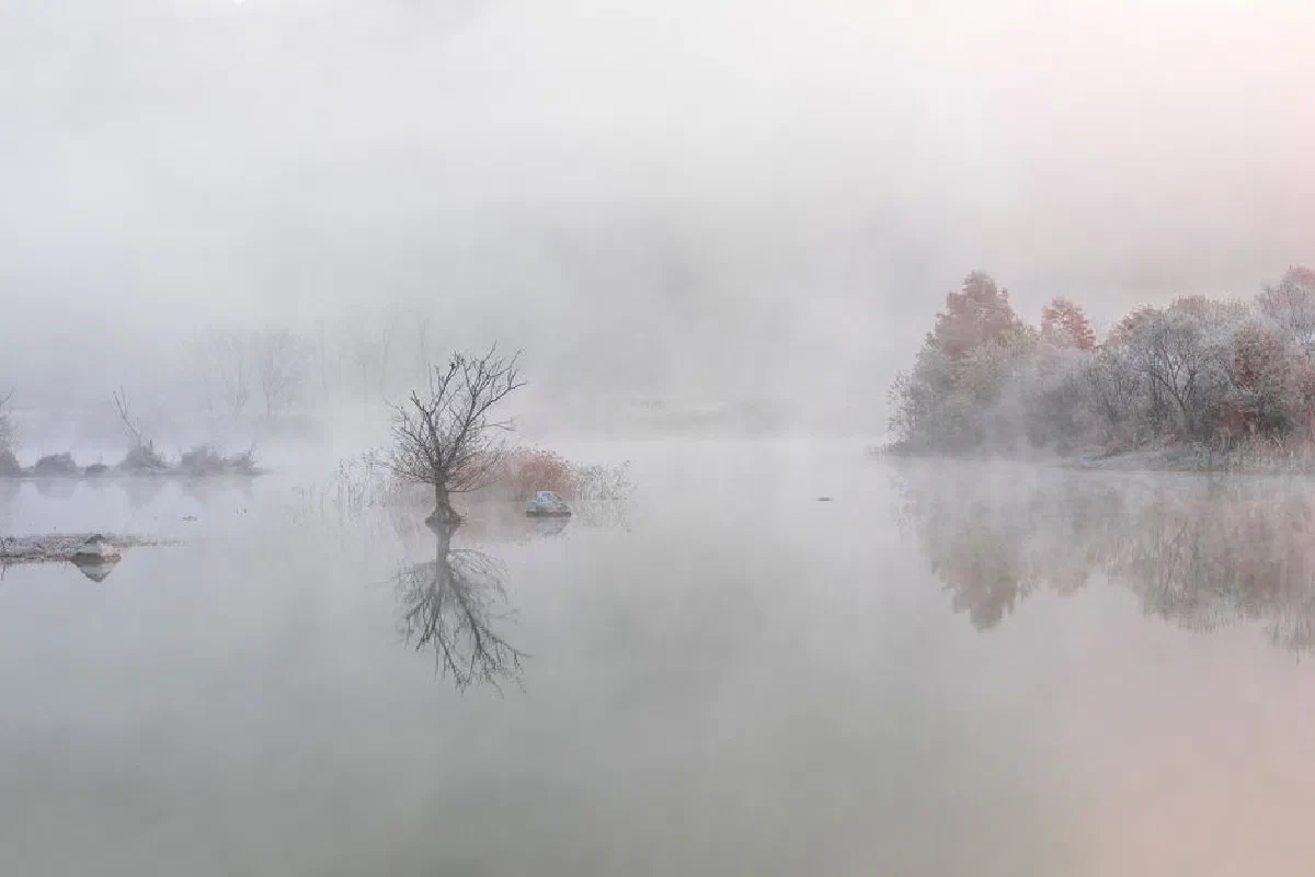 Ethereal mist envelops a calm lake with bare trees and autumn foliage.