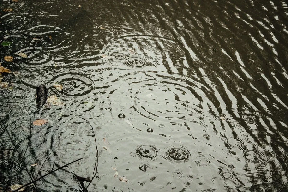 Close-up of raindrops creating ripples on a pond in İstanbul, Türkiye.