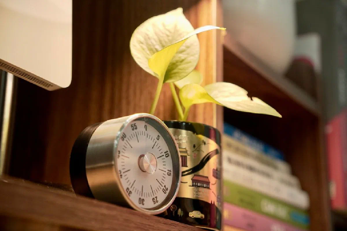 A homey shelf with a metal timer, vibrant plant, and colorful books.