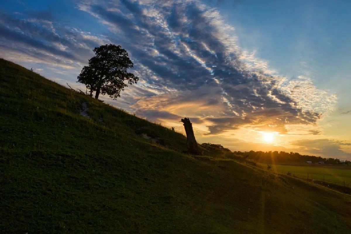Breathtaking sunset over a grassy hill with a lone tree and dramatic clouds.