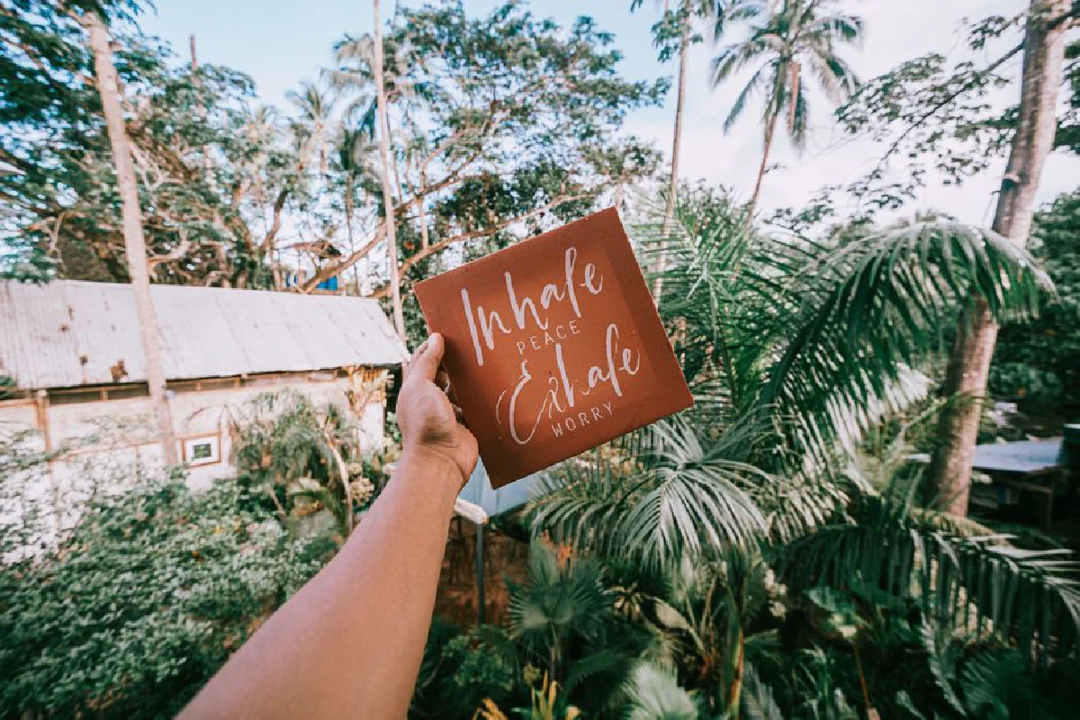 A hand holding a sign with an inspirational quote against a tropical jungle backdrop.