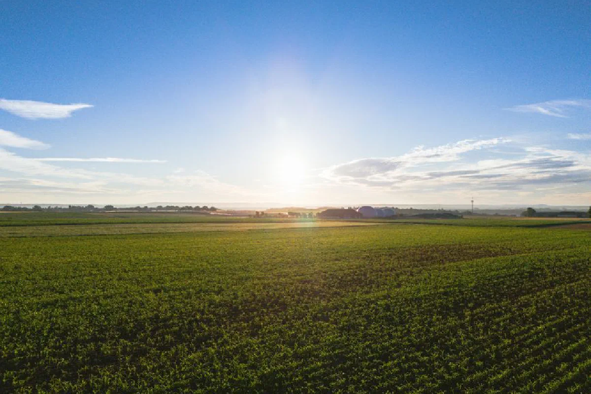A scenic aerial view of open farmland under a clear sunrise sky, showcasing agricultural landscapes.