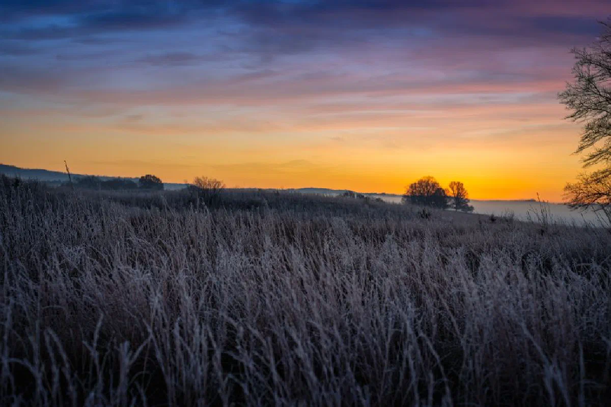 Frost-covered field with vibrant sunset sky in West Newton, MN.